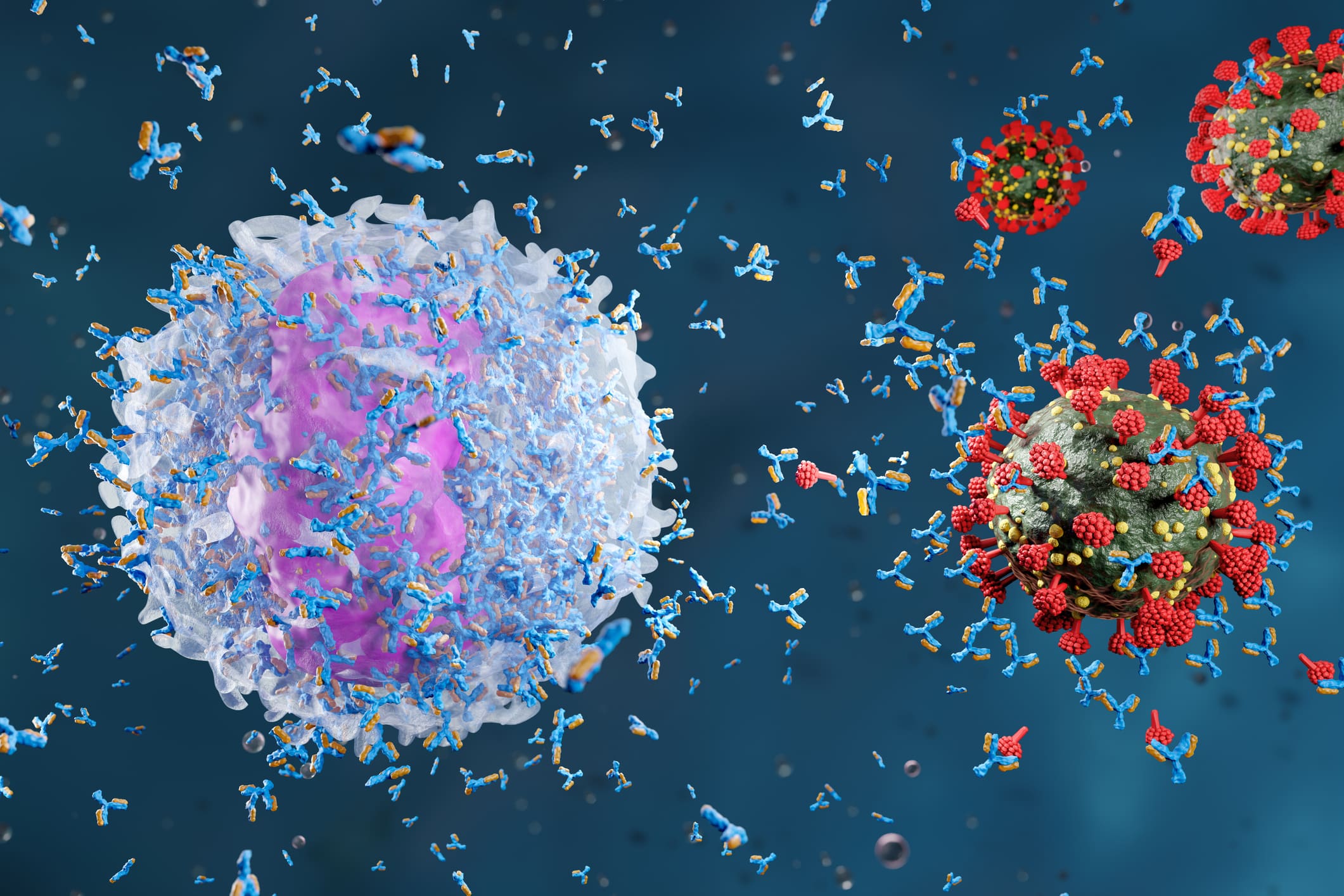 Anticorps monoclonaux: 3 applications révolutionnaires dans le traitement du cancer