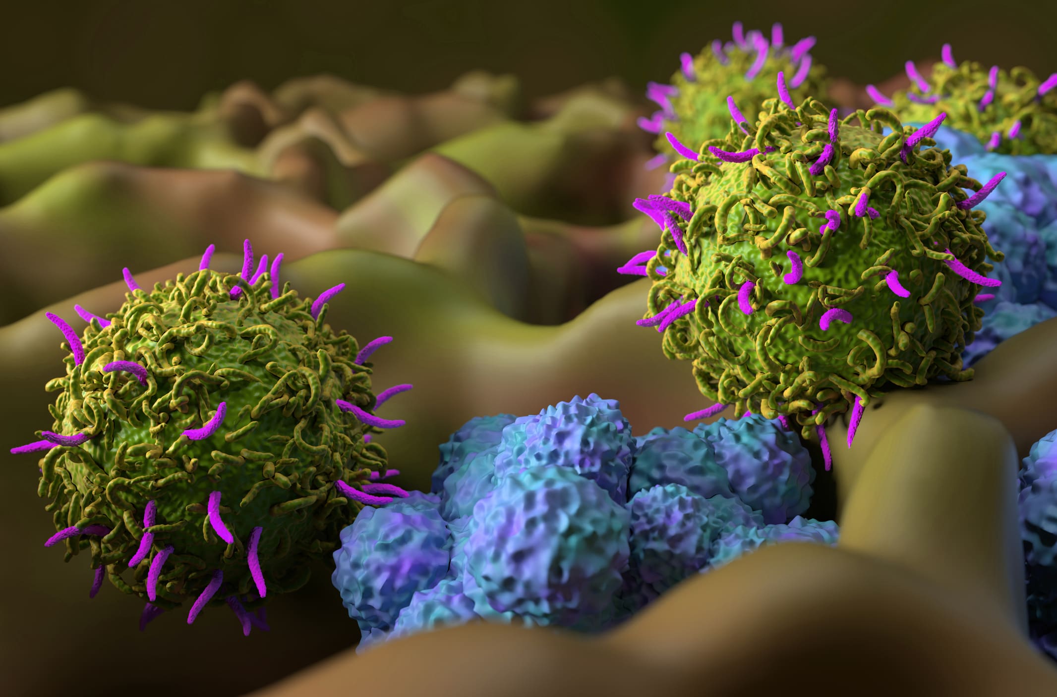 Cancer et système immunitaire: comprendre leurs interactions et les avancées en immunothérapie