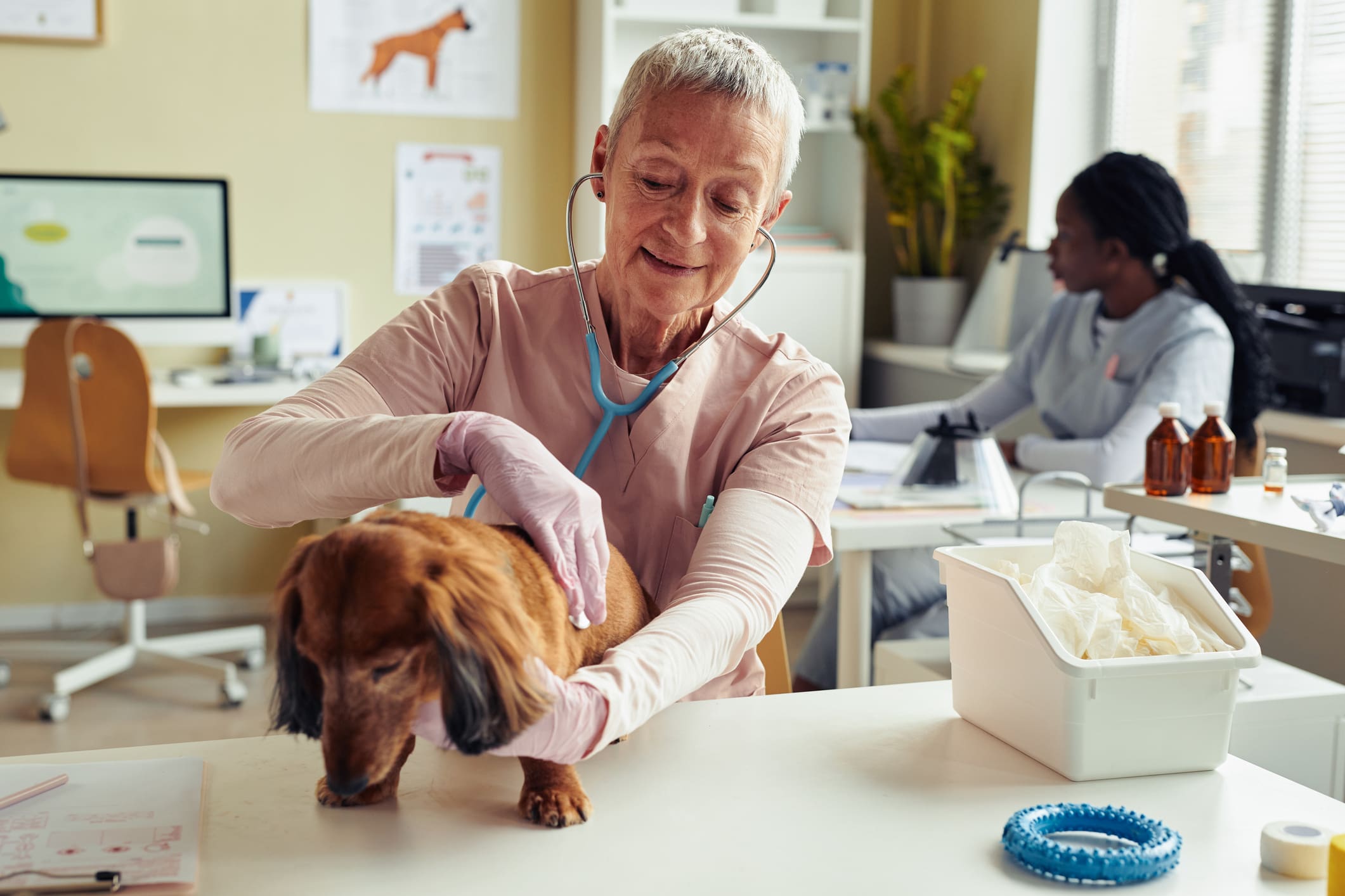 Fonds Belge contre le Cancer des Animaux: ensemble contre le cancer de nos compagnons à quatre pattes