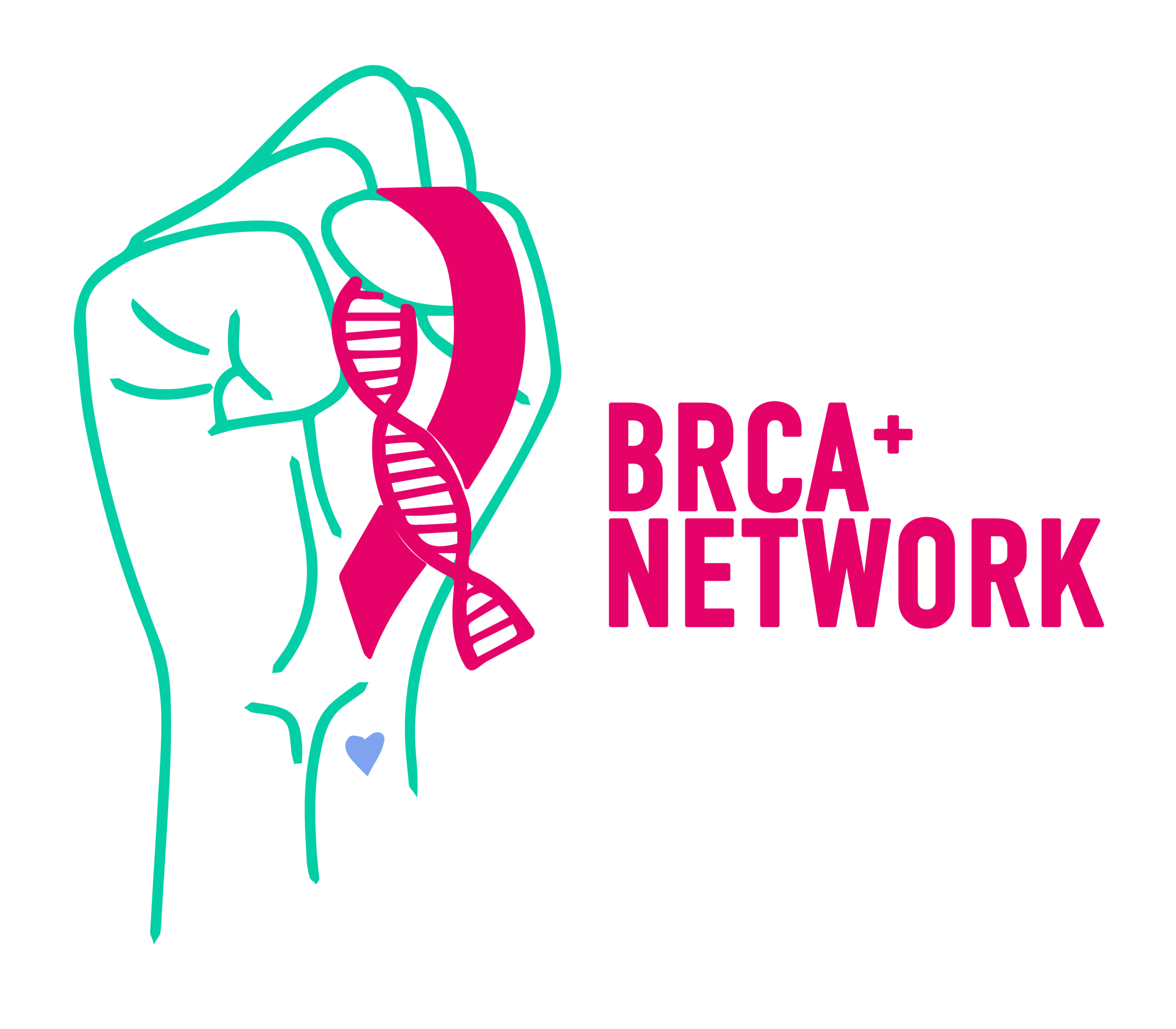 BRCA+ network